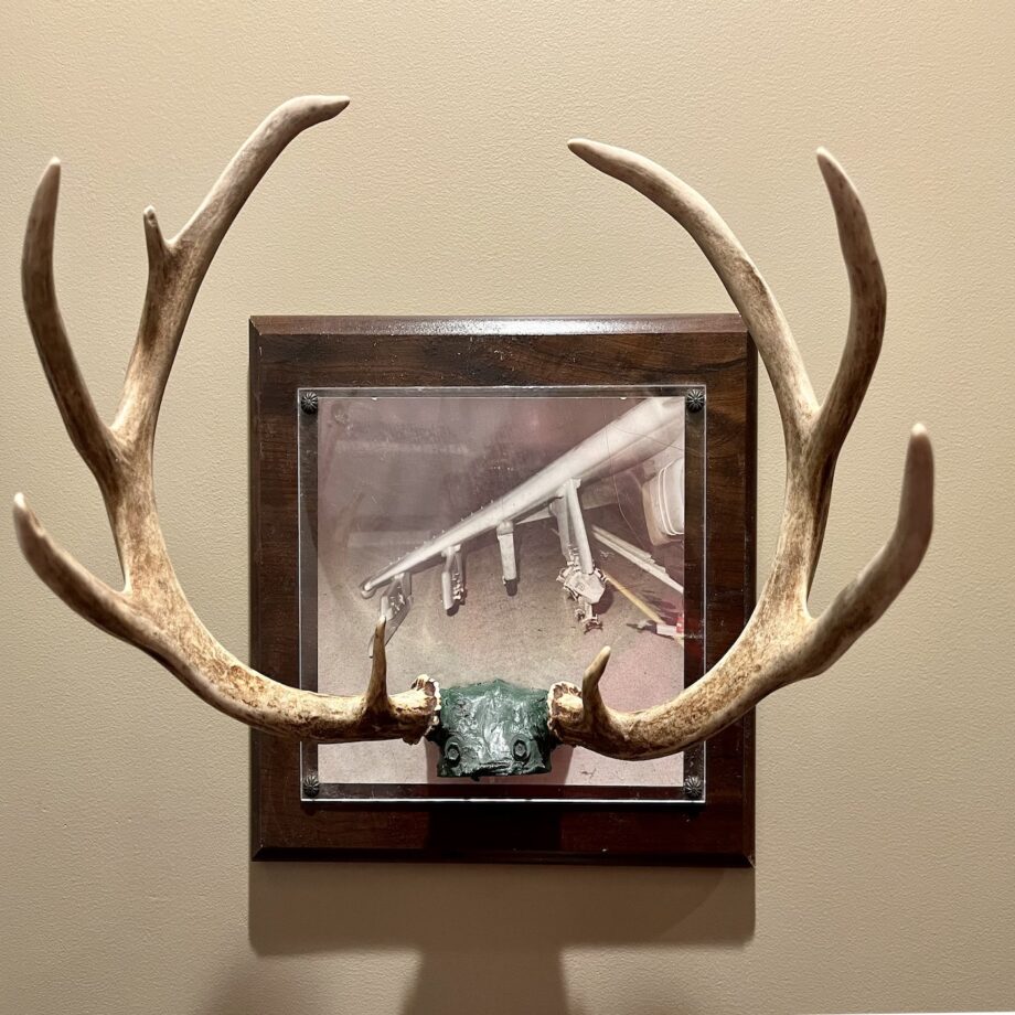 9-Point buck Luke hit in 1992