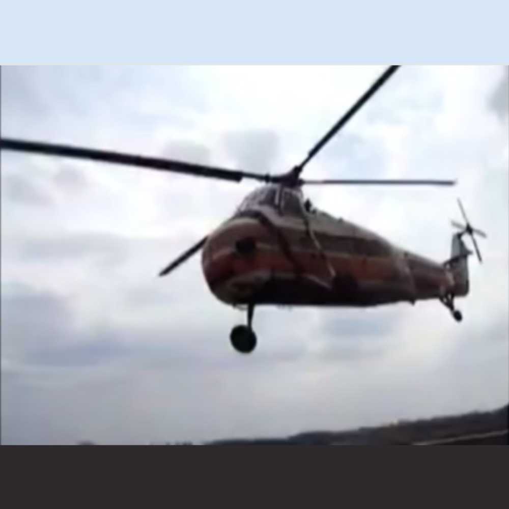 Doober's Family's H-34
