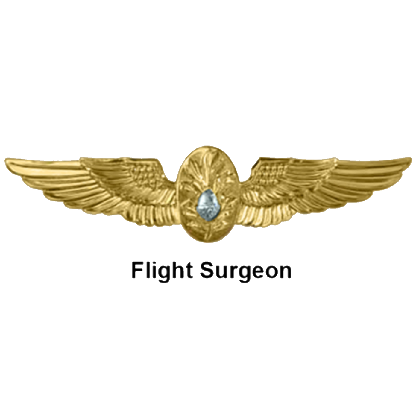 US Navy Flight Surgeon Wings