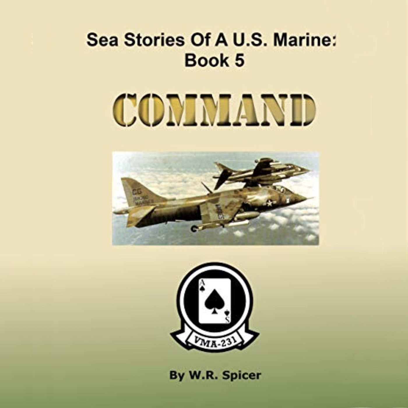 Sea Stories of a US Marine - Command