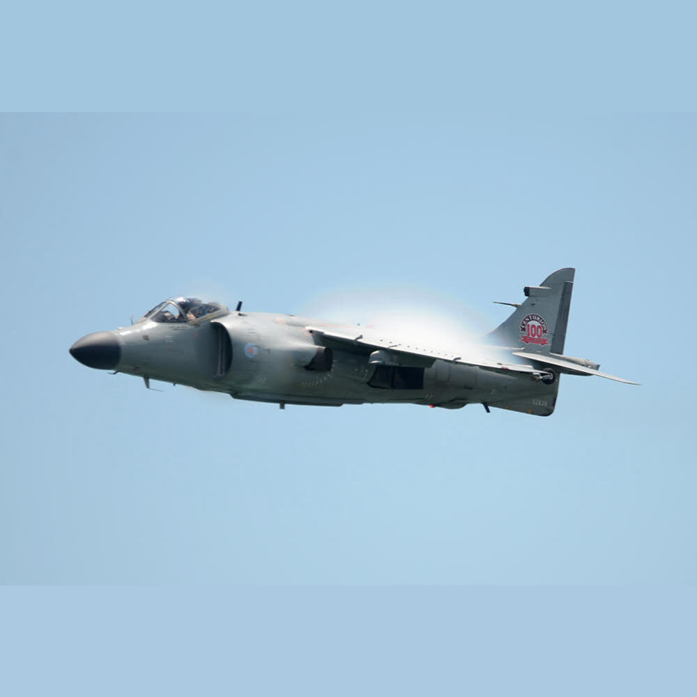 Gallo in and AV-8B Harrier