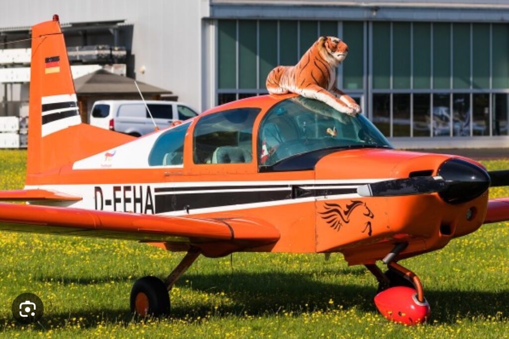 A stuffed tiger on top of KK's plane "Pegasus"